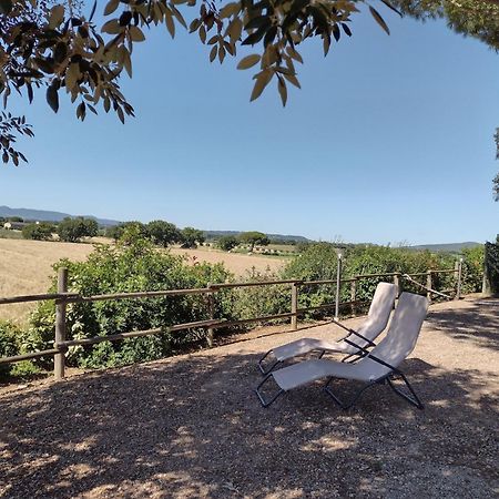 Agriturismo I Debbi Bibbona Exterior photo